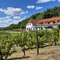 Naučná vinařská stezka Sádek a NS Lesopark Sádek