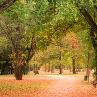 Park Lužánky