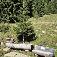 Krakautal