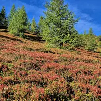 Zážitková hora Grosseck-Speiereck