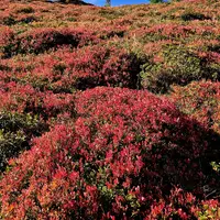 Zážitková hora Grosseck-Speiereck