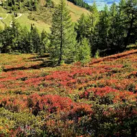 Zážitková hora Grosseck-Speiereck