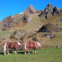 Bobby's Erlebniswelt