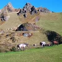 Bobby's Erlebniswelt