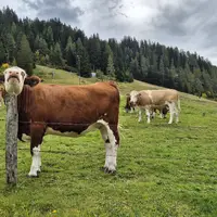 Zážitková stezka Mondweg u Zauchensee