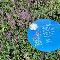 Zážitková stezka Mondweg u Zauchensee