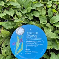 Zážitková stezka Mondweg u Zauchensee