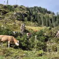 Zážitková stezka Mondweg u Zauchensee