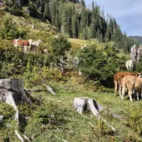 Zážitková stezka Mondweg u Zauchensee