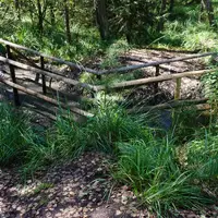 Naturpark Hochmoor Schrems