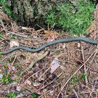 Naturpark Hochmoor Schrems