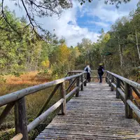 Naturpark Hochmoor Schrems