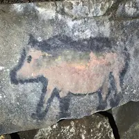 Naturpark Hochmoor Schrems