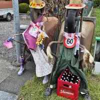 Naturpark Hochmoor Schrems