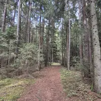 Naturpark Hochmoor Schrems
