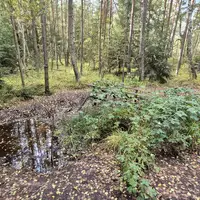 Naturpark Hochmoor Schrems