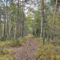Naturpark Hochmoor Schrems