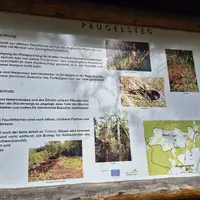 Naturpark Hochmoor Schrems