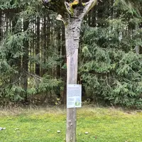 Naturpark Hochmoor Schrems