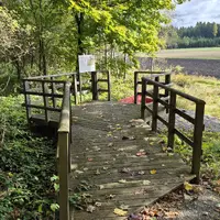 Naturpark Hochmoor Schrems