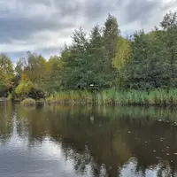Naturpark Hochmoor Schrems