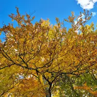 Naučná stezka Velká kotlina