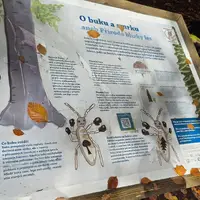 Naučná stezka Velká kotlina