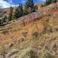 Naučná stezka Velká kotlina