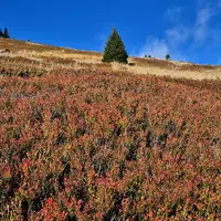 Naučná stezka Velká kotlina