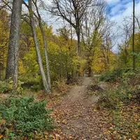 Naučná stezka sv. Antoníčka