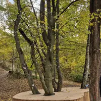 Naučná stezka sv. Antoníčka