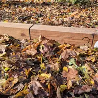 Naučná stezka sv. Antoníčka