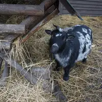 Naučná stezka Biocentrum Kojetín
