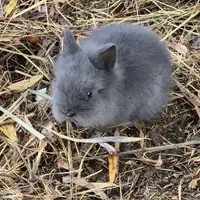 Naučná stezka Biocentrum Kojetín