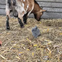 Naučná stezka Biocentrum Kojetín