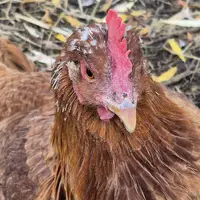 Naučná stezka Biocentrum Kojetín