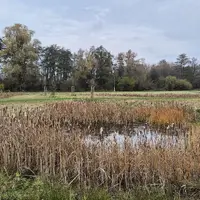 Naučná stezka Biocentrum Kojetín