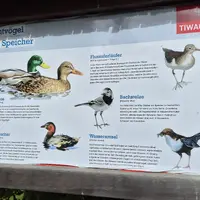 Jezero Tassenbach-See