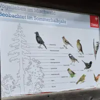 Jezero Tassenbach-See