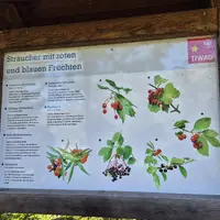 Jezero Tassenbach-See