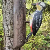 Zážitková stezka Kinder Naturerlebnispfad