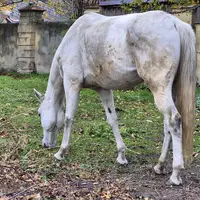 Vyhlídka Králův Stolec