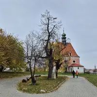 Vyhlídka Králův Stolec