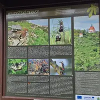 Vyhlídka Králův Stolec