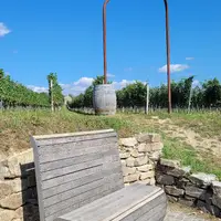 Weinweg Langenlois