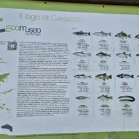 Jezero Lago di Cavazzo