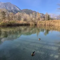 Jezero Lago di Cavazzo