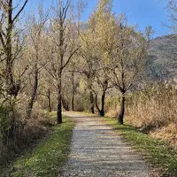 Jezero Lago di Cavazzo