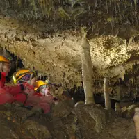 Autor fotografie: Sinka Gábor