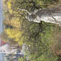 Kostej ve městě Falkenstein